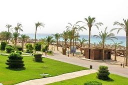 Edelma Sahl Hasheesh