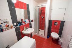 Pronajmu novostavbu 1+1 Brno, U Leskavy